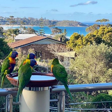 Large Luxury House With Stunning Beach Views Mollymook Exteriér fotografie