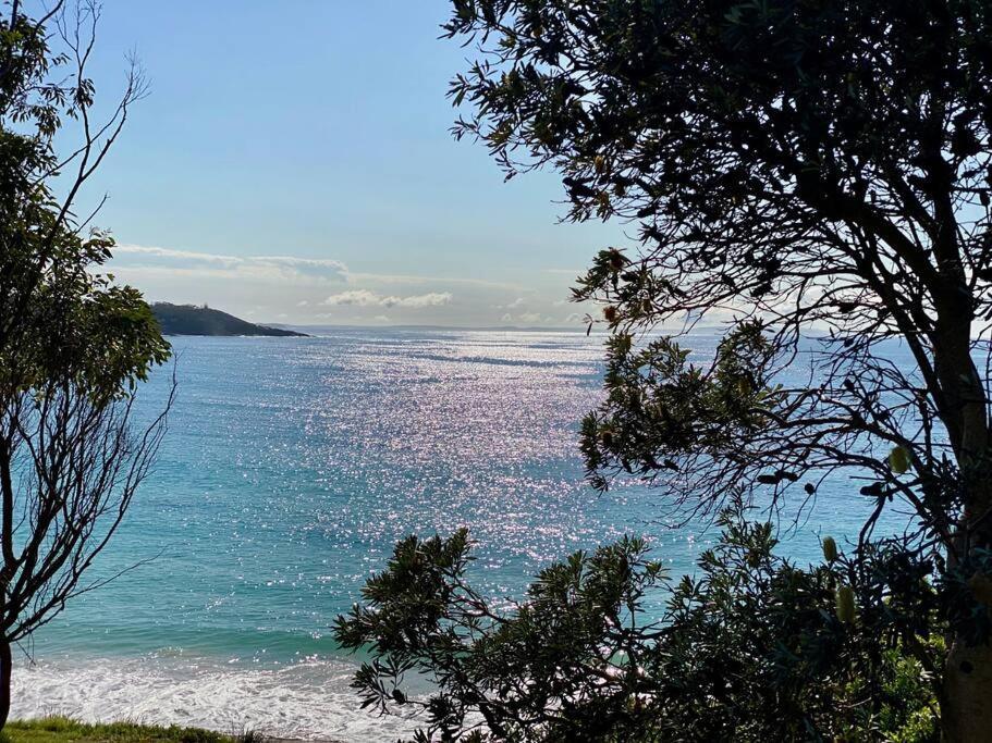 Large Luxury House With Stunning Beach Views Mollymook Exteriér fotografie